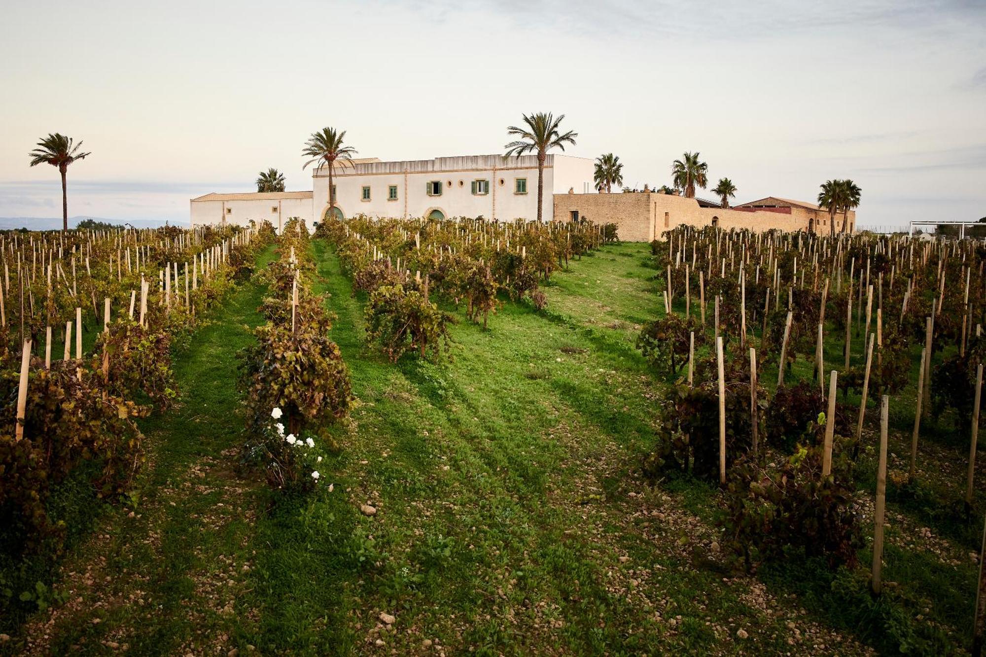 Agriturismo Baglio Donnafranca Wine Resort Marsala Buitenkant foto