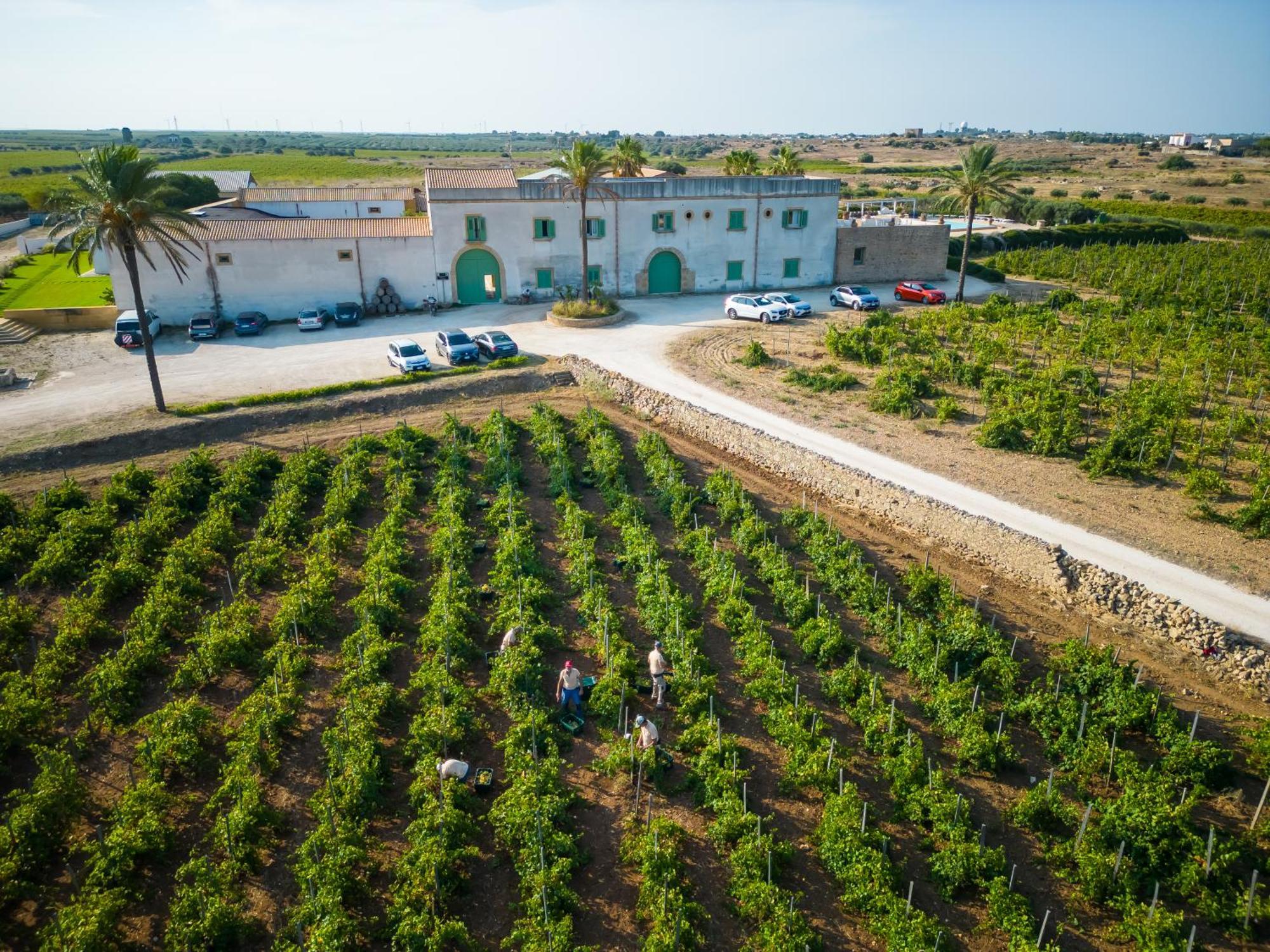 Agriturismo Baglio Donnafranca Wine Resort Marsala Buitenkant foto