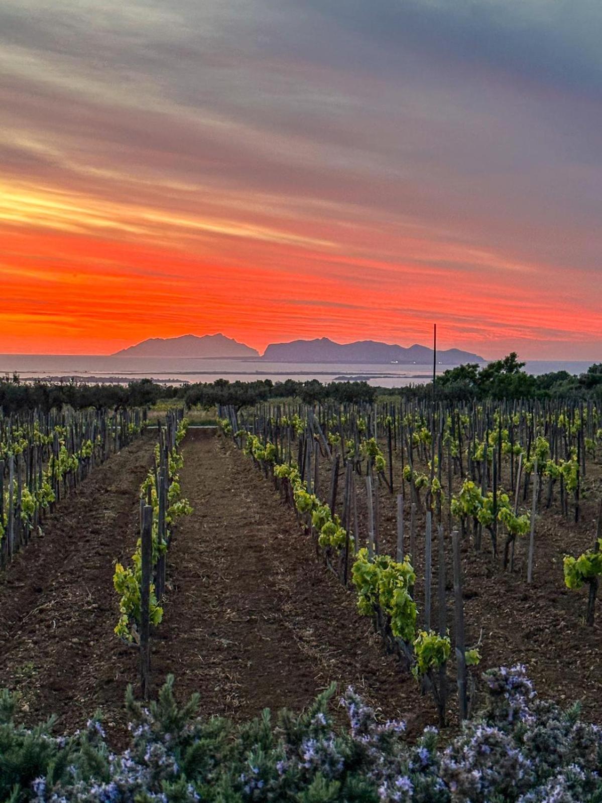 Agriturismo Baglio Donnafranca Wine Resort Marsala Buitenkant foto