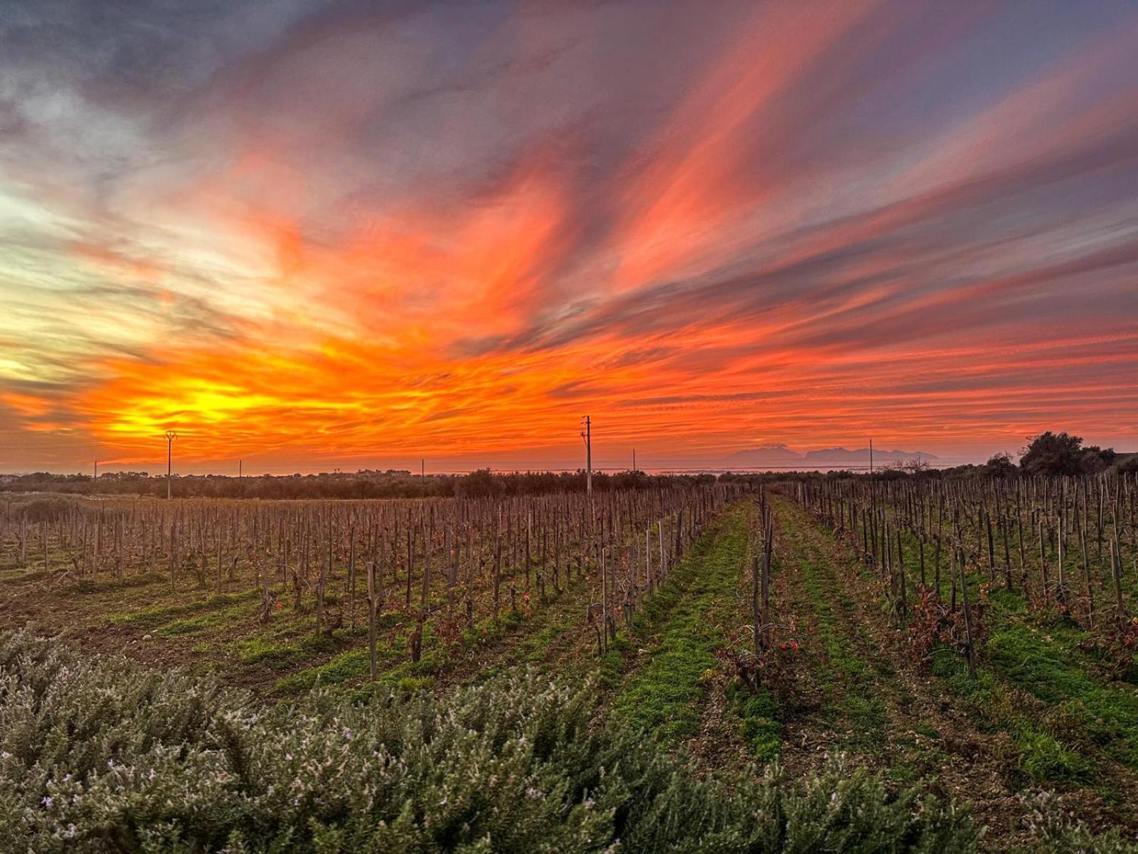Agriturismo Baglio Donnafranca Wine Resort Marsala Buitenkant foto