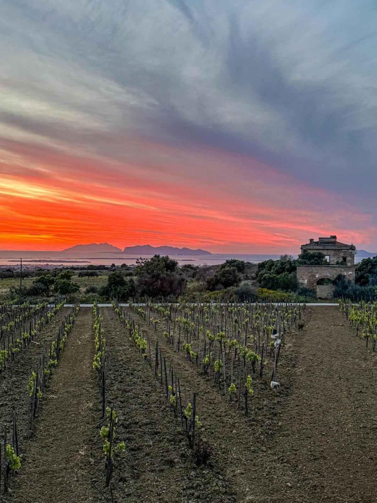 Agriturismo Baglio Donnafranca Wine Resort Marsala Buitenkant foto