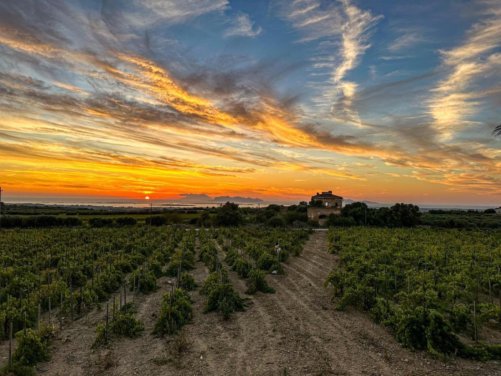 Agriturismo Baglio Donnafranca Wine Resort Marsala Buitenkant foto